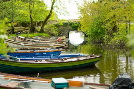 Téléchargez les photos : Bateaux assortis à louer liés à une petite jetée sur Lough Leane, le plus grand et le plus septentrional des trois lacs du parc national de Killarney, comté de Kerry, Irlande - en image libre de droit