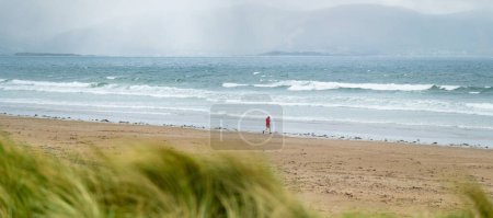 Téléchargez les photos : Plage d'pouces, magnifique étendue de sable et de dunes de 5 km de long, populaire pour le surf, la natation et la pêche, située sur la péninsule de Dingle, comté de Kerry, Irlande - en image libre de droit