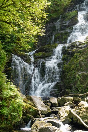 Torc Waterfall, one of most well known tourist attractions in Ireland, located in scenic woodland of Killarney National Park. Stopping point of famous Ring of Kerry tourist route, Ireland.