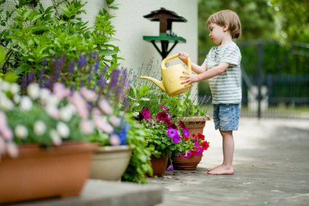 Téléchargez les photos : Mignon petit garçon arrosant les parterres de fleurs dans la cour arrière le jour d'été. Enfant utilisant l'arrosoir pour arroser les plantes. Un gamin qui aide dans les tâches quotidiennes. La petite assistante de maman. - en image libre de droit