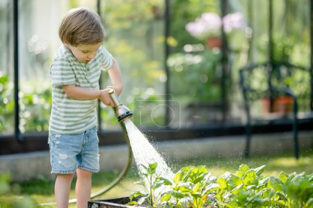 Téléchargez les photos : Mignon petit garçon arrosant les parterres de fleurs dans le jardin le jour d'été. Enfant utilisant un tuyau d'arrosage pour arroser les légumes. Un gamin qui aide dans les tâches quotidiennes. La petite assistante de maman. - en image libre de droit