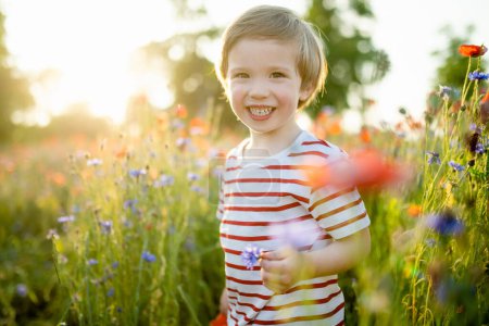 Téléchargez les photos : Joli petit garçon admirant les fleurs de pavot et de potamot dans un champ de pavot en fleurs le jour ensoleillé de l'été. Beaux paysages d'été près de Vilnius, Lituanie. - en image libre de droit