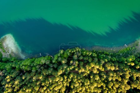 Foto de Vista aérea de hermosas aguas verdes del lago Gela. Vista panorámica de aves del lago esmeralda rodeado de bosques de pinos. Nubes reflejadas en el lago Gela, cerca de la ciudad de Vilna, Lituania. - Imagen libre de derechos