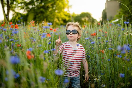 Photo for Cute little boy admiring poppy and knapweed flowers in blossoming poppy field on sunny summer day. Beautiful summer scenery near Vilnius, Lithuania. - Royalty Free Image