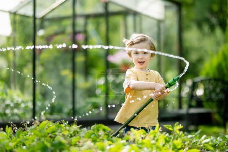 Photo for Cute little boy watering flower beds in the garden at summer day. Child using garden hose to water vegetables. Kid helping with everyday chores. Mommy's little helper. - Royalty Free Image