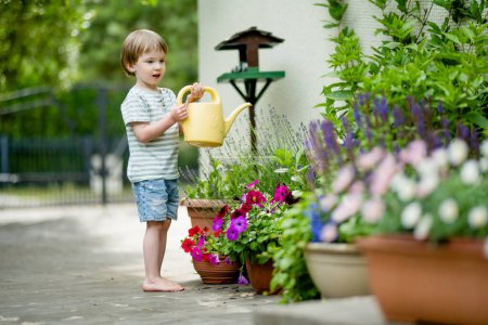 Photo for Cute little boy watering flower beds in the back yard at summer day. Child using watering can to water plants. Kid helping with everyday chores. Mommy's little helper. - Royalty Free Image