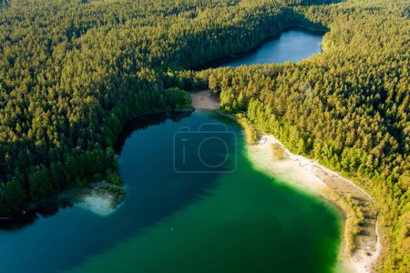 Aerial view of beautiful green waters of lake Gela. Birds eye view of scenic emerald lake surrounded by pine forests. Clouds reflecting in Gela lake, near Vilnius city, Lithuania.