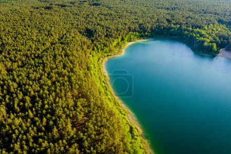 Luftaufnahme des schönen grünen Wassers des Gela-Sees. Vogelperspektive auf den malerischen smaragdgrünen See, der von Kiefernwäldern umgeben ist. Wolken, die sich im Gela-See in der Nähe der litauischen Stadt Vilnius spiegeln.