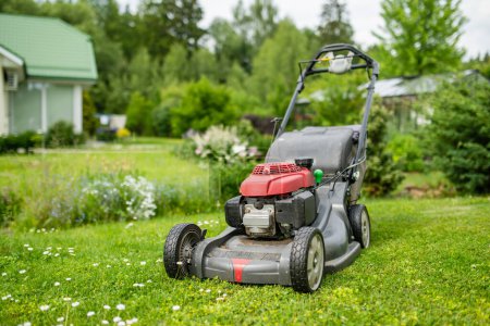 Photo for Mowing grass with electric or petrol lawn mower in a backyard. Gardening care tools and equipment. Process of lawn trimming with lawnmower. - Royalty Free Image