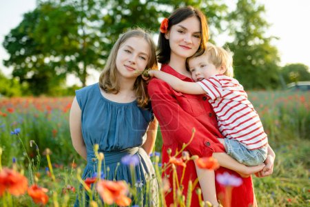 Téléchargez les photos : Belles adolescentes et leur petit frère admirant les fleurs de pavot et de potamot dans un champ de pavot en fleurs le jour ensoleillé de l'été. - en image libre de droit