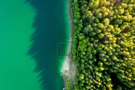 Téléchargez les photos : Vue aérienne de belles eaux vertes du lac Gela. Vue des oiseaux sur le lac émeraude pittoresque entouré de forêts de pins. Nuages reflétant dans le lac Gela, près de Vilnius, Lituanie. - en image libre de droit