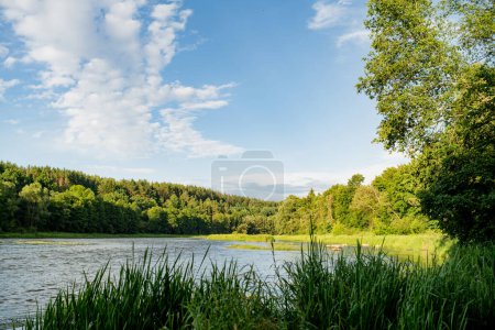 Saide Bach, der an einem sonnigen Sommertag in den Fluss Neris im Regionalpark Neris in der Nähe von Vilnius fällt. Sehenswürdigkeiten und Ziellandschaften Litauens.