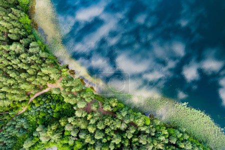 Szenische Luftaufnahme der Halbinsel Sciuro Ragas, die die Seen White Lakajai und Black Lakajai trennt. Malerische Landschaft mit Seen und Wäldern im Regionalpark Labanoras. Litauische Naturschönheiten.