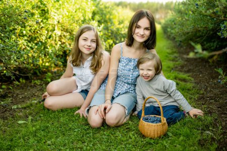 Photo for Cute teenage sisters and their little brother picking fresh berries on organic blueberry farm on warm and sunny summer day. Fresh healthy organic food for kids. Family activities in summer. - Royalty Free Image