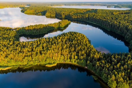 Téléchargez les photos : Vue aérienne panoramique de la péninsule de Sciuro Ragas, séparant les lacs White Lakajai et Black Lakajai. Paysage pittoresque des lacs et des forêts du parc régional de Labanoras. Beauté naturelle de la Lituanie. - en image libre de droit