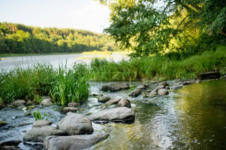 Saide Bach, der an einem sonnigen Sommertag in den Fluss Neris im Regionalpark Neris in der Nähe von Vilnius fällt. Sehenswürdigkeiten und Ziellandschaften Litauens.