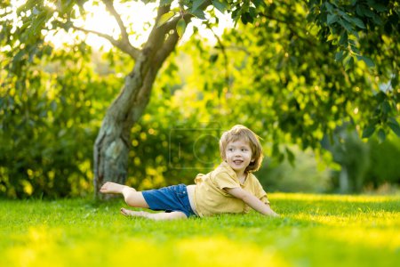 Photo for Adorable little boy having fun outdoors on sunny summer day. Kid running outdoors. Child exploring nature. Summer activities for small kids. - Royalty Free Image