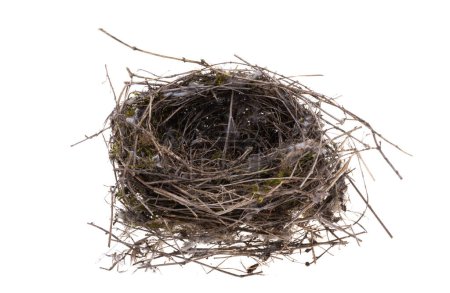 Photo for Bird's nest isolated on white background - Royalty Free Image