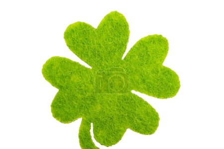 Photo for Four leaf clover isolated on white background - Royalty Free Image