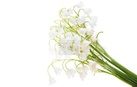Téléchargez les photos : Bouquet de lys de la vallée isolé sur fond blanc - en image libre de droit