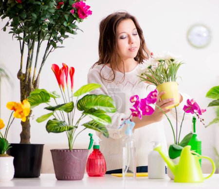 Photo for The young woman looking after plants at home - Royalty Free Image