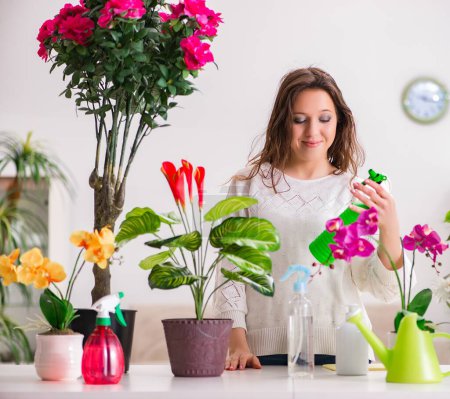 Photo for The young woman looking after plants at home - Royalty Free Image