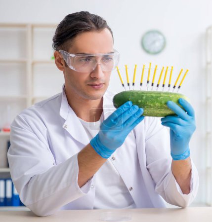 Photo for The male nutrition expert testing vegetables in lab - Royalty Free Image