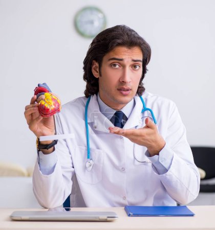 Téléchargez les photos : Le jeune médecin cardiologue avec modèle cardiaque - en image libre de droit