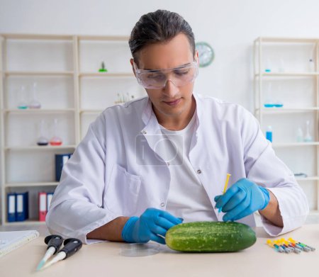 Téléchargez les photos : L'expert en nutrition masculine teste les légumes en laboratoire - en image libre de droit