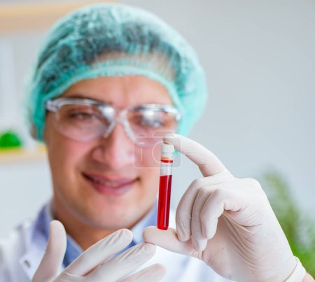 Téléchargez les photos : Le jeune médecin qui travaille sur un test sanguin dans un hôpital de laboratoire - en image libre de droit