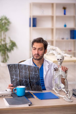 Téléchargez les photos : Jeune médecin radiologue étudiant le squelette humain - en image libre de droit