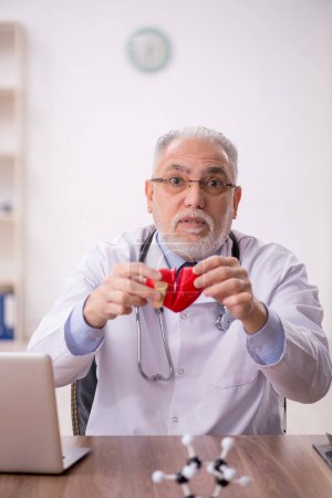 Photo for Old cardiologist holding heart model - Royalty Free Image