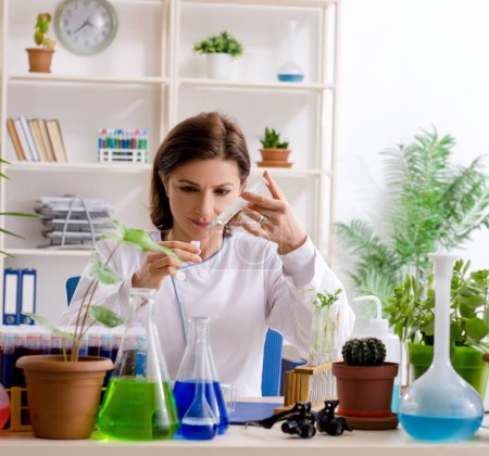 Photo for The old female biotechnology chemist working in the lab - Royalty Free Image