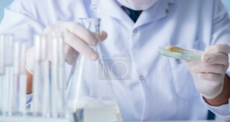 Photo for Female scientist researcher conducting an experiment in a laboratory - Royalty Free Image