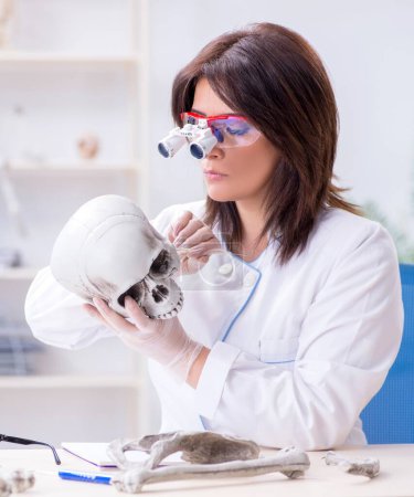 Foto de El médico que trabaja en el laboratorio en esqueleto - Imagen libre de derechos