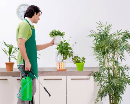 Téléchargez les photos : The young male gardener with plants indoors - en image libre de droit