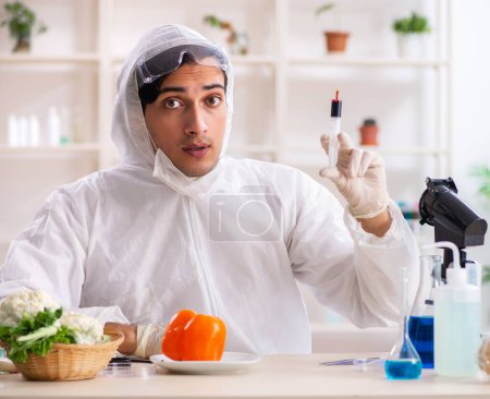 Téléchargez les photos : Le scientifique travaillant en laboratoire sur les fruits et légumes de la glande - en image libre de droit