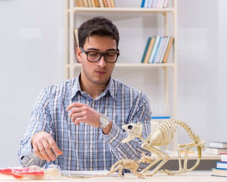 Photo for The student doctor studying animal skeleton - Royalty Free Image