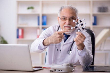 Photo for Old doctor lecturer holding molecular model - Royalty Free Image