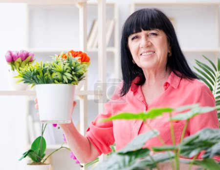 Photo for The woman florist working in the flower shop - Royalty Free Image