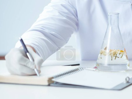 Téléchargez les photos : Le chimiste mélangeant les parfums dans le laboratoire - en image libre de droit
