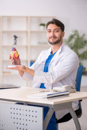 Photo for Young doctor cardiologist working in the clinic - Royalty Free Image
