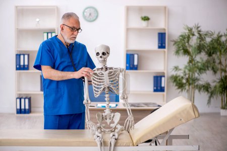Téléchargez les photos : Vieux médecin examinant le squelette à l'hôpital - en image libre de droit