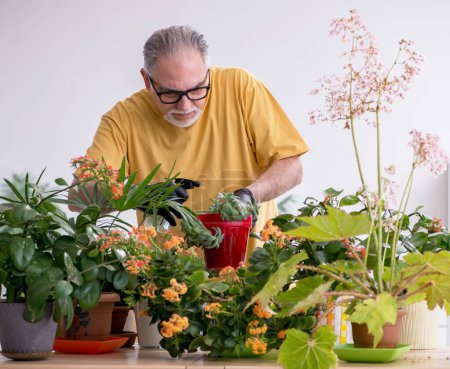 Foto de Viejo jardinero masculino con plantas en casa - Imagen libre de derechos