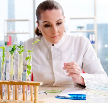 Photo for The female biotechnology scientist chemist working in the lab - Royalty Free Image