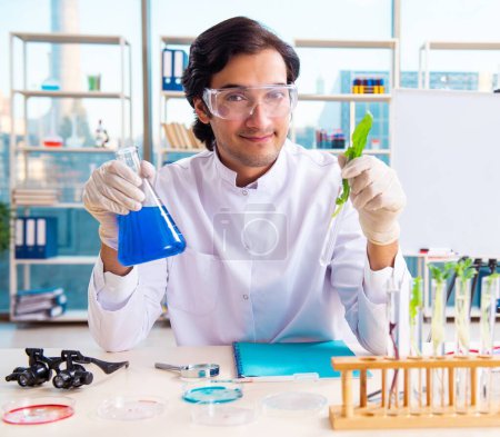 Photo for The male biotechnology scientist chemist working in the lab - Royalty Free Image