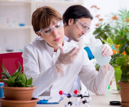 Photo for The two young botanist working in the lab - Royalty Free Image