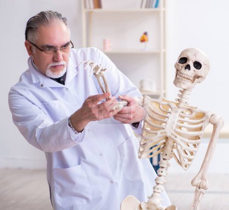 Photo for The aged male doctor with skeleton - Royalty Free Image