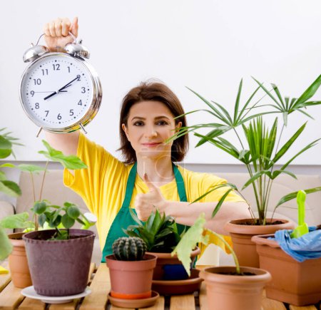 Foto de La jardinera femenina con plantas en el interior - Imagen libre de derechos
