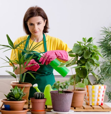 Photo for The female gardener with plants indoors - Royalty Free Image